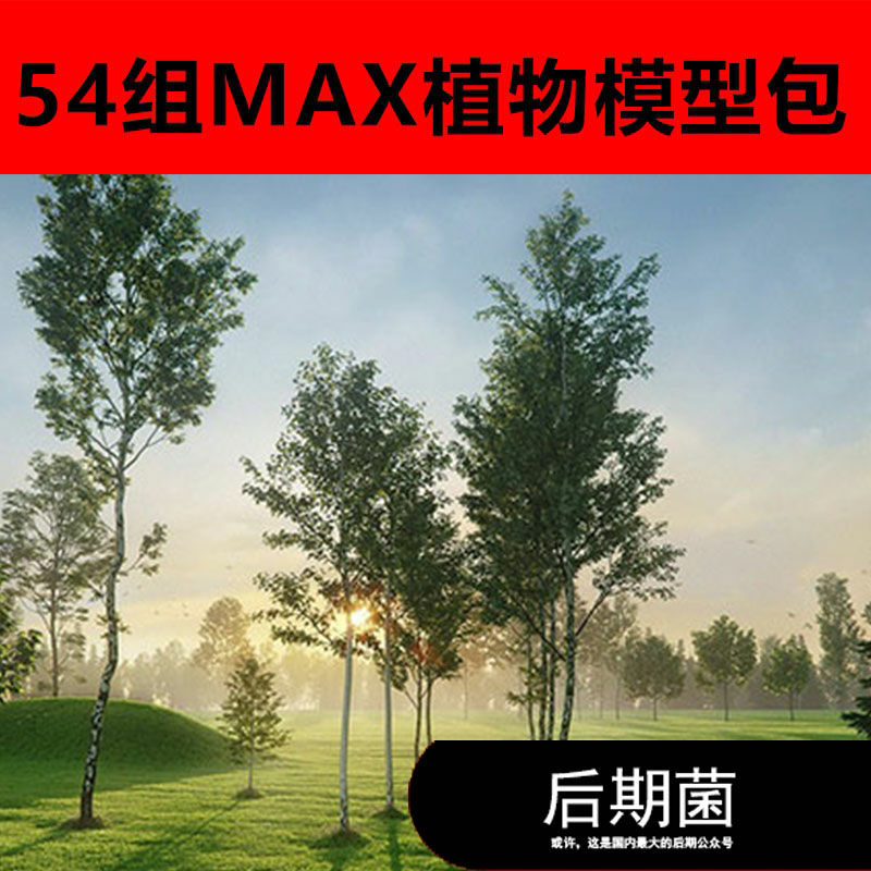 54组MAX植物树木绿叶花草乔木风景树景观树3D模型三维素材
